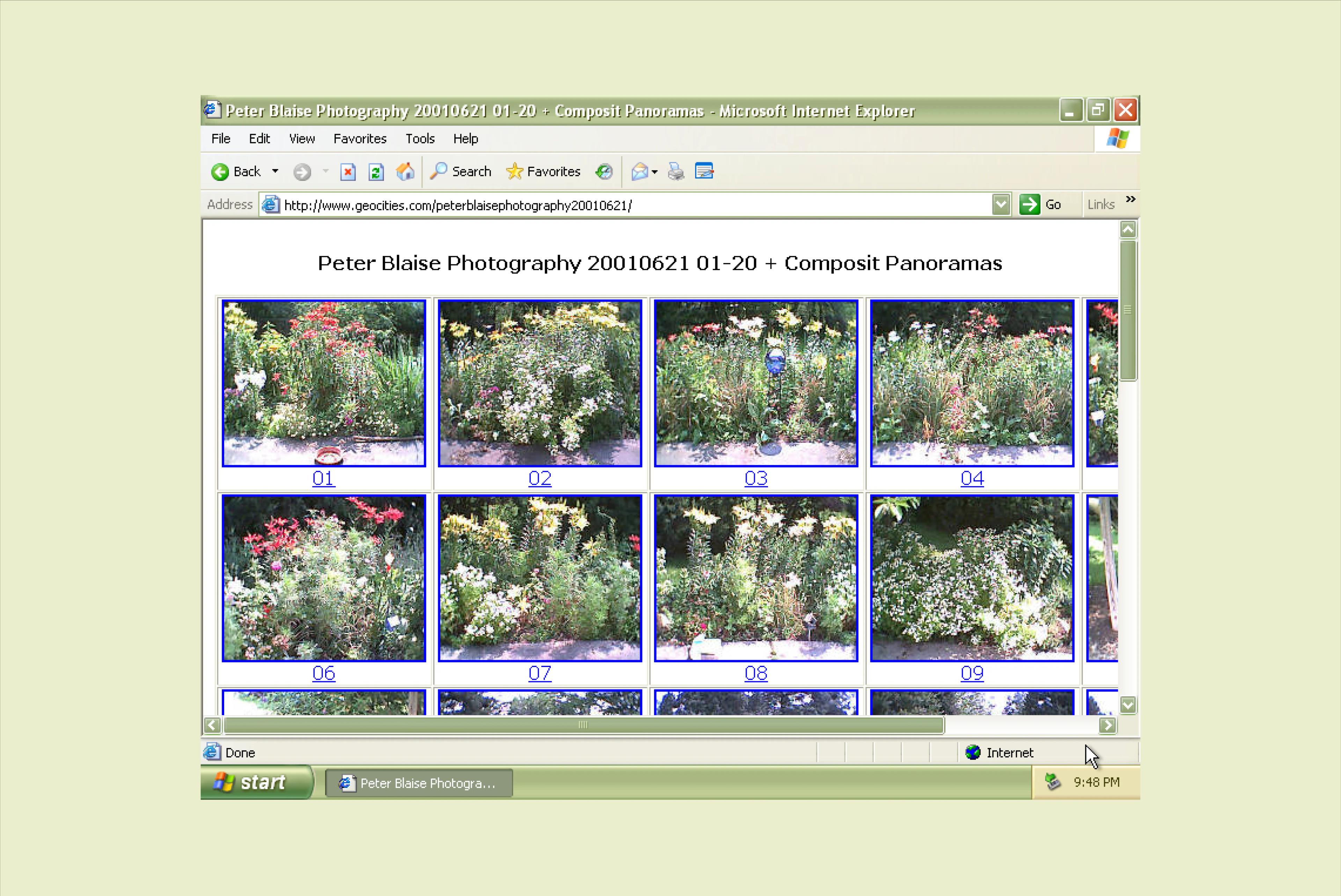 A Geocities page displays a grid of photos of flowers, attributed to “Peter Blaine Photography”