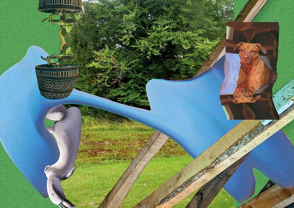 A digital collage featuring a stretched blue blob, distorted bunny toy, reflected and stretched photo of a succulent, as well as a dog, with long wooden beams breaking through green blobs on a wooded background.
