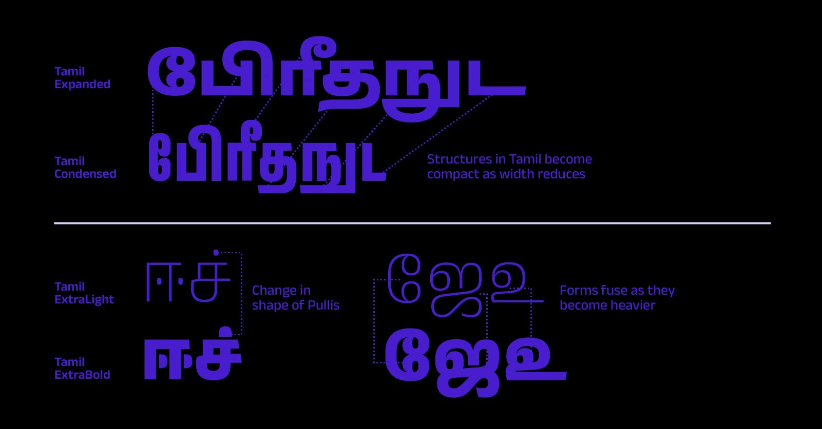 Blue text on white background, six words with English text labels explaining how Tamil shapes change
